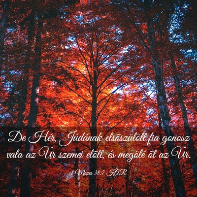 Picture 03 - 1 Mózes 38:7 KAR - De Hér, Júdának elsõszülött fia gonosz vala - Bible Verse Picture