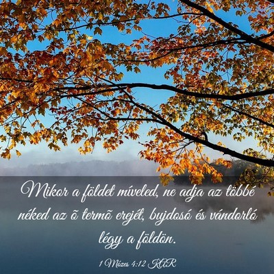 Picture 03 - 1 Mózes 4:12 KAR - Mikor a földet míveled, ne adja az többé - Bible Verse Picture