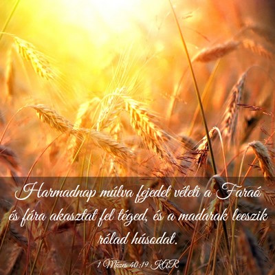 Picture 03 - 1 Mózes 40:19 KAR - Harmadnap múlva fejedet véteti a Faraó és - Bible Verse Picture