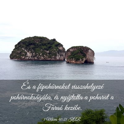 Picture 03 - 1 Mózes 40:21 KAR - És a fõpohárnokot visszahelyezé - Bible Verse Picture