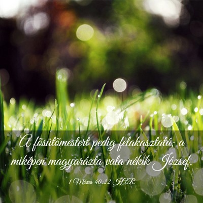 Picture 03 - 1 Mózes 40:22 KAR - A fõsütõmestert pedig felakasztatá; a - Bible Verse Picture