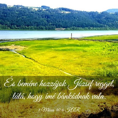 Picture 03 - 1 Mózes 40:6 KAR - És beméne hozzájok József reggel, látá, - Bible Verse Picture
