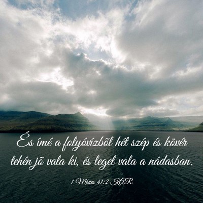 Picture 03 - 1 Mózes 41:2 KAR - És ímé a folyóvízbõl hét szép és kövér - Bible Verse Picture
