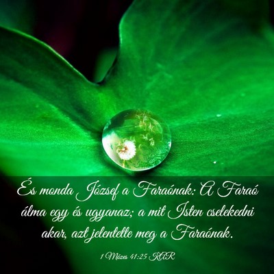 Picture 03 - 1 Mózes 41:25 KAR - És monda József a Faraónak: A Faraó álma egy - Bible Verse Picture