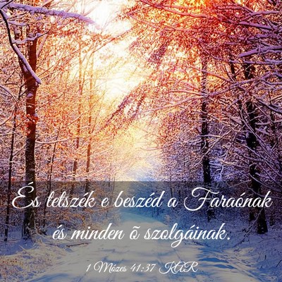 Picture 03 - 1 Mózes 41:37 KAR - És tetszék e beszéd a Faraónak és minden õ - Bible Verse Picture