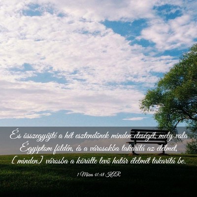 Picture 03 - 1 Mózes 41:48 KAR - És összegyûjté a hét esztendõnek minden - Bible Verse Picture