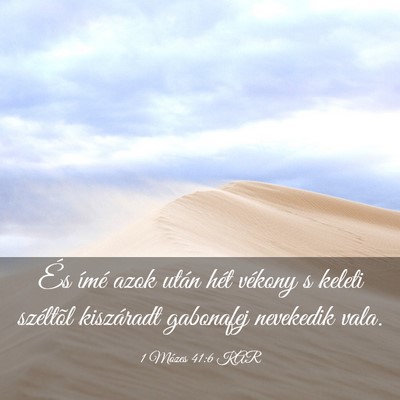 Picture 03 - 1 Mózes 41:6 KAR - És ímé azok után hét vékony s keleti - Bible Verse Picture