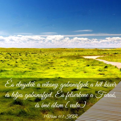 Picture 03 - 1 Mózes 41:7 KAR - És elnyelék a vékony gabonafejek a hét - Bible Verse Picture