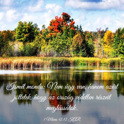 Picture 03 - 1 Mózes 42:12 KAR - Ismét monda: Nem úgy van, hanem azért - Bible Verse Picture