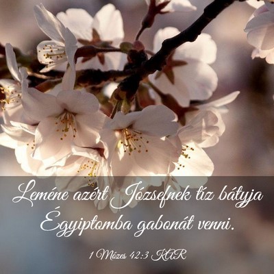 Picture 03 - 1 Mózes 42:3 KAR - Leméne azért Józsefnek tíz bátyja - Bible Verse Picture