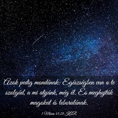 Picture 03 - 1 Mózes 43:28 KAR - Azok pedig mondának: Egészségben van a te - Bible Verse Picture