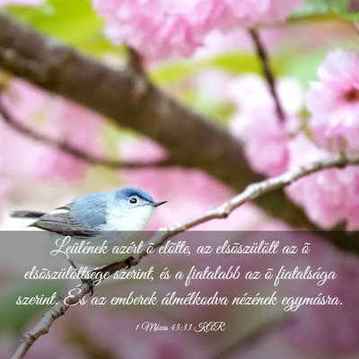 Picture 03 - 1 Mózes 43:33 KAR - Leûlének azért õ elõtte, az elsõszülött - Bible Verse Picture