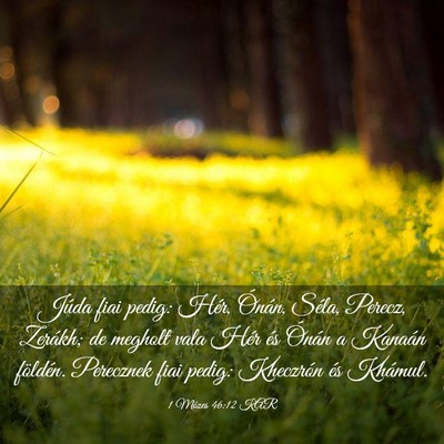 Picture 03 - 1 Mózes 46:12 KAR - Júda fiai pedig: Hér, Ónán, Séla, Perecz, - Bible Verse Picture