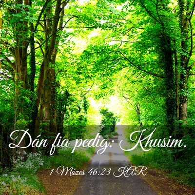 Picture 03 - 1 Mózes 46:23 KAR - Dán fia pedig: - Bible Verse Picture