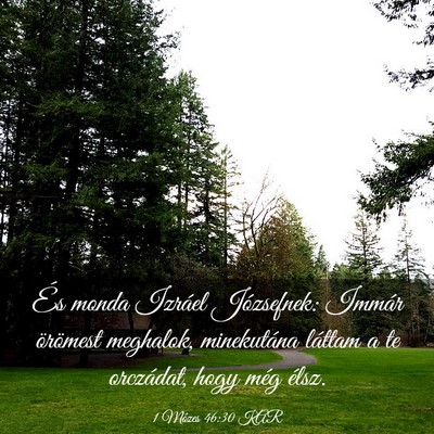 Picture 03 - 1 Mózes 46:30 KAR - És monda Izráel Józsefnek: Immár örömest - Bible Verse Picture