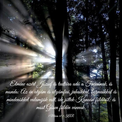 Picture 03 - 1 Mózes 47:1 KAR - Elméne azért József és tudtára adá a - Bible Verse Picture
