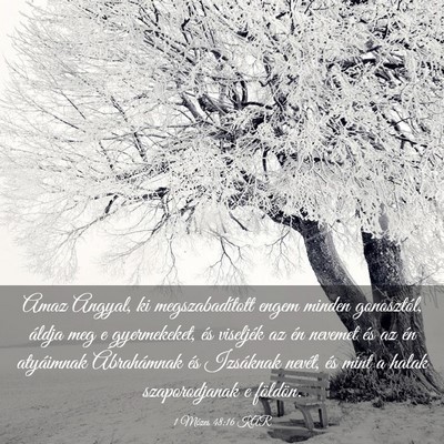 Picture 03 - 1 Mózes 48:16 KAR - Amaz Angyal, ki megszabadított engem minden - Bible Verse Picture