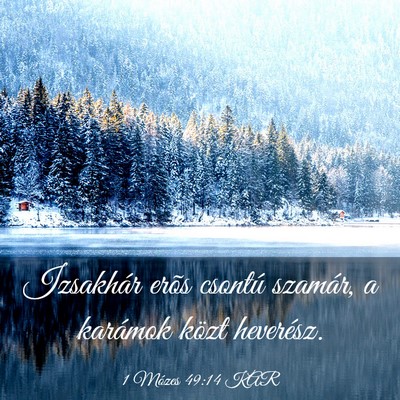 Picture 03 - 1 Mózes 49:14 KAR - Izsakhár erõs csontú szamár, a karámok közt - Bible Verse Picture