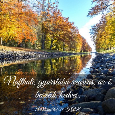 Picture 03 - 1 Mózes 49:21 KAR - Nafthali, gyorslábú szarvas, az õ beszéde - Bible Verse Picture