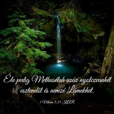 Picture 03 - 1 Mózes 5:25 KAR - Éle pedig Methusélah száz nyolczvanhét - Bible Verse Picture
