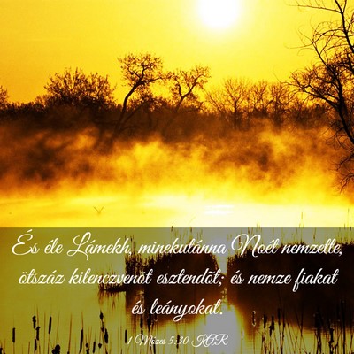 Picture 03 - 1 Mózes 5:30 KAR - És éle Lámekh, minekutánna Noét nemzette, - Bible Verse Picture
