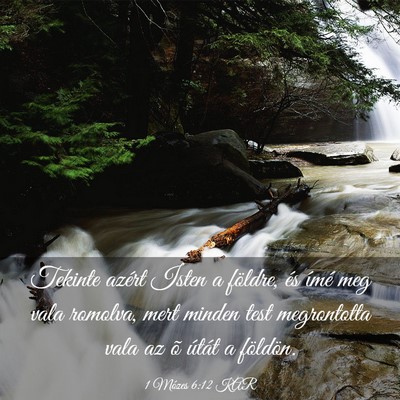 Picture 03 - 1 Mózes 6:12 KAR - Tekinte azért Isten a földre, és ímé meg - Bible Verse Picture
