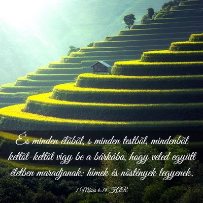 Picture 03 - 1 Mózes 6:19 KAR - És minden élõbõl, s minden testbõl, - Bible Verse Picture