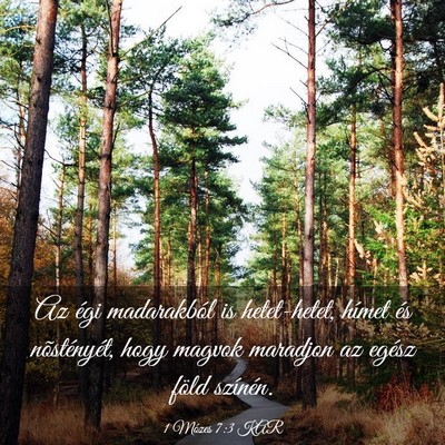 Picture 03 - 1 Mózes 7:3 KAR - Az égi madarakból is hetet-hetet, hímet és - Bible Verse Picture