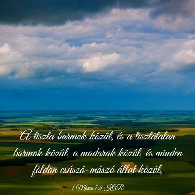 Picture 03 - 1 Mózes 7:8 KAR - A tiszta barmok közûl, és a tisztátalan - Bible Verse Picture