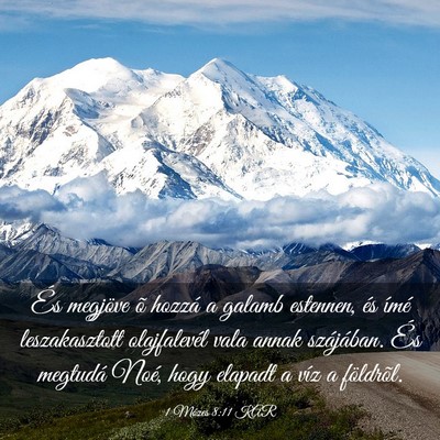 Picture 03 - 1 Mózes 8:11 KAR - És megjöve õ hozzá a galamb estennen, és - Bible Verse Picture