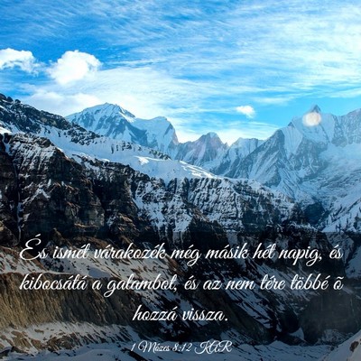 Picture 03 - 1 Mózes 8:12 KAR - És ismét várakozék még másik hét napig, - Bible Verse Picture