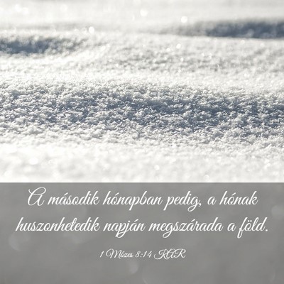 Picture 03 - 1 Mózes 8:14 KAR - A második hónapban pedig, a hónak - Bible Verse Picture