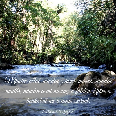 Picture 03 - 1 Mózes 8:19 KAR - Minden állat, minden csúszó-mászó, minden - Bible Verse Picture
