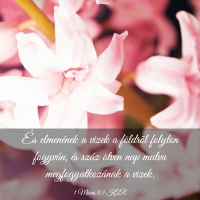 Picture 03 - 1 Mózes 8:3 KAR - És elmenének a vizek a földrõl folyton - Bible Verse Picture