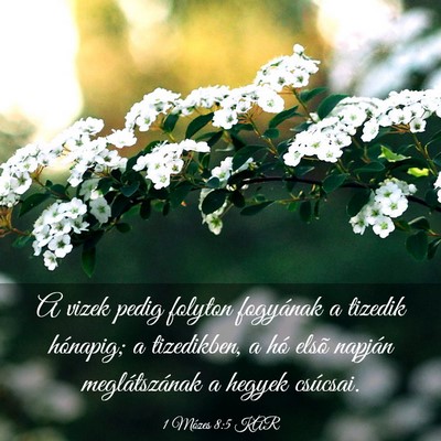 Picture 03 - 1 Mózes 8:5 KAR - A vizek pedig folyton fogyának a tizedik - Bible Verse Picture