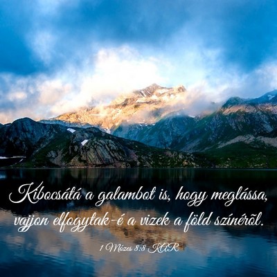 Picture 03 - 1 Mózes 8:8 KAR - Kibocsátá a galambot is, hogy meglássa, vajjon - Bible Verse Picture