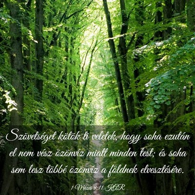 Picture 03 - 1 Mózes 9:11 KAR - Szövetséget kötök ti veletek, hogy soha - Bible Verse Picture