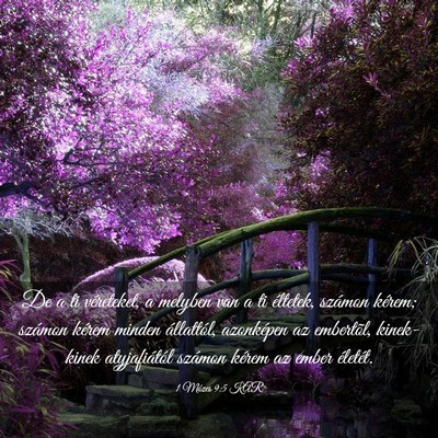 Picture 03 - 1 Mózes 9:5 KAR - De a ti véreteket, a melyben van a ti éltetek, - Bible Verse Picture