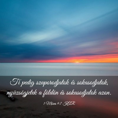 Picture 03 - 1 Mózes 9:7 KAR - Ti pedig szaporodjatok és sokasodjatok, - Bible Verse Picture