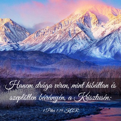 Picture 03 - 1 Péter 1:19 KAR - Hanem drága véren, mint hibátlan és - Bible Verse Picture