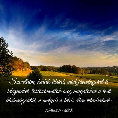 Picture 03 - 1 Péter 2:11 KAR - Szeretteim, kérlek titeket, mint jövevényeket - Bible Verse Picture