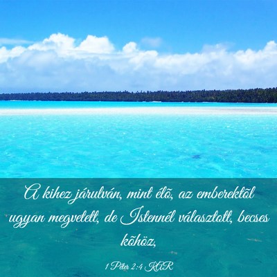Picture 03 - 1 Péter 2:4 KAR - A kihez járulván, mint élõ, az emberektõl - Bible Verse Picture
