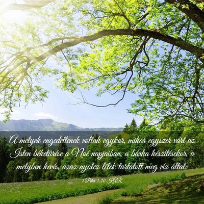 Picture 03 - 1 Péter 3:20 KAR - A melyek engedetlenek voltak egykor, mikor - Bible Verse Picture