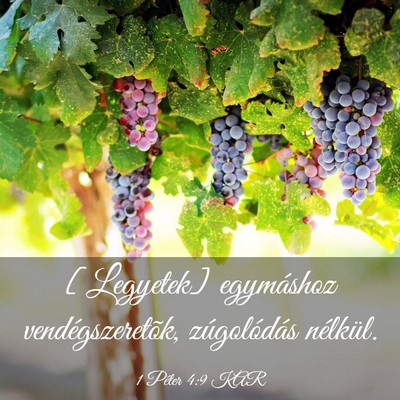 Picture 03 - 1 Péter 4:9 KAR - [Legyetek] egymáshoz vendégszeretõk, - Bible Verse Picture