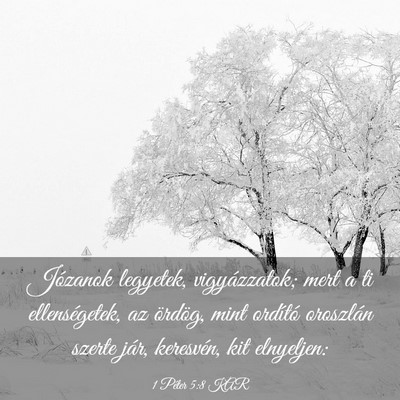 Picture 03 - 1 Péter 5:8 KAR - Józanok legyetek, vigyázzatok; mert a ti - Bible Verse Picture