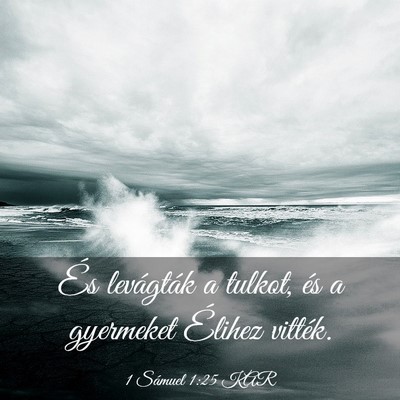 Picture 03 - 1 Sámuel 1:25 KAR - És levágták a tulkot, és a gyermeket Élihez - Bible Verse Picture