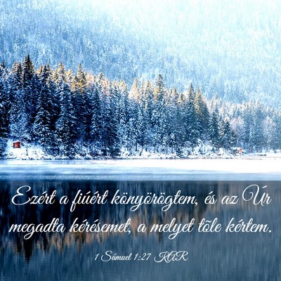 Picture 03 - 1 Sámuel 1:27 KAR - Ezért a fiúért könyörögtem, és az Úr - Bible Verse Picture