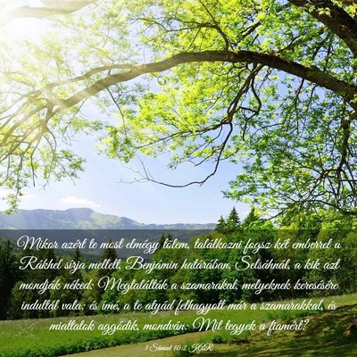 Picture 03 - 1 Sámuel 10:2 KAR - Mikor azért te most elmégy tõlem, találkozni - Bible Verse Picture