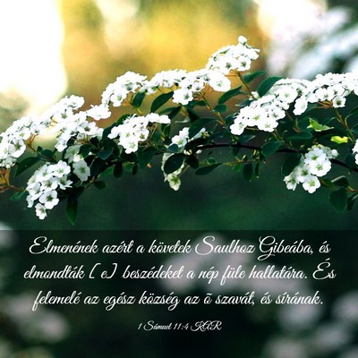 Picture 03 - 1 Sámuel 11:4 KAR - Elmenének azért a követek Saulhoz Gibeába, - Bible Verse Picture