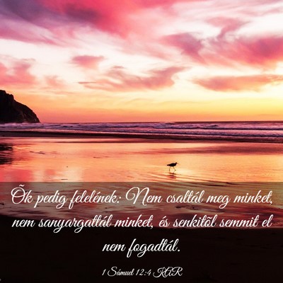 Picture 03 - 1 Sámuel 12:4 KAR - Õk pedig felelének: Nem csaltál meg minket, - Bible Verse Picture